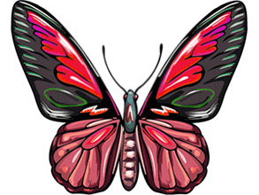 Free Animated Butterfly Clipart.