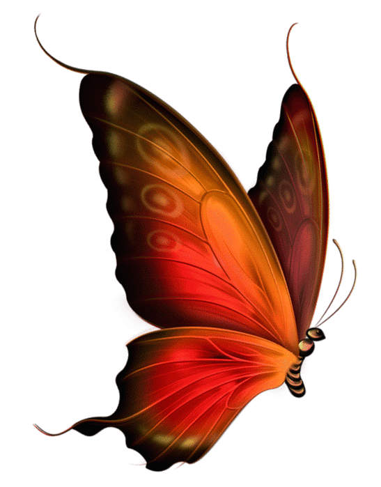 Moving clipart butterfly, Moving butterfly Transparent FREE.