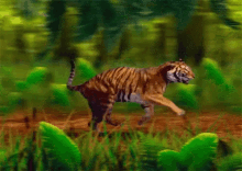 Tiger Running Animation GIFs.