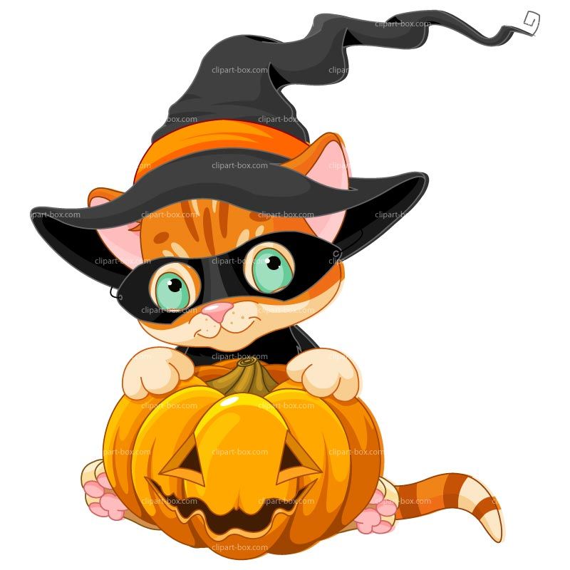 animated halloween cat clipart 10 free Cliparts | Download images on