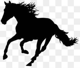 Horse Racing PNG.