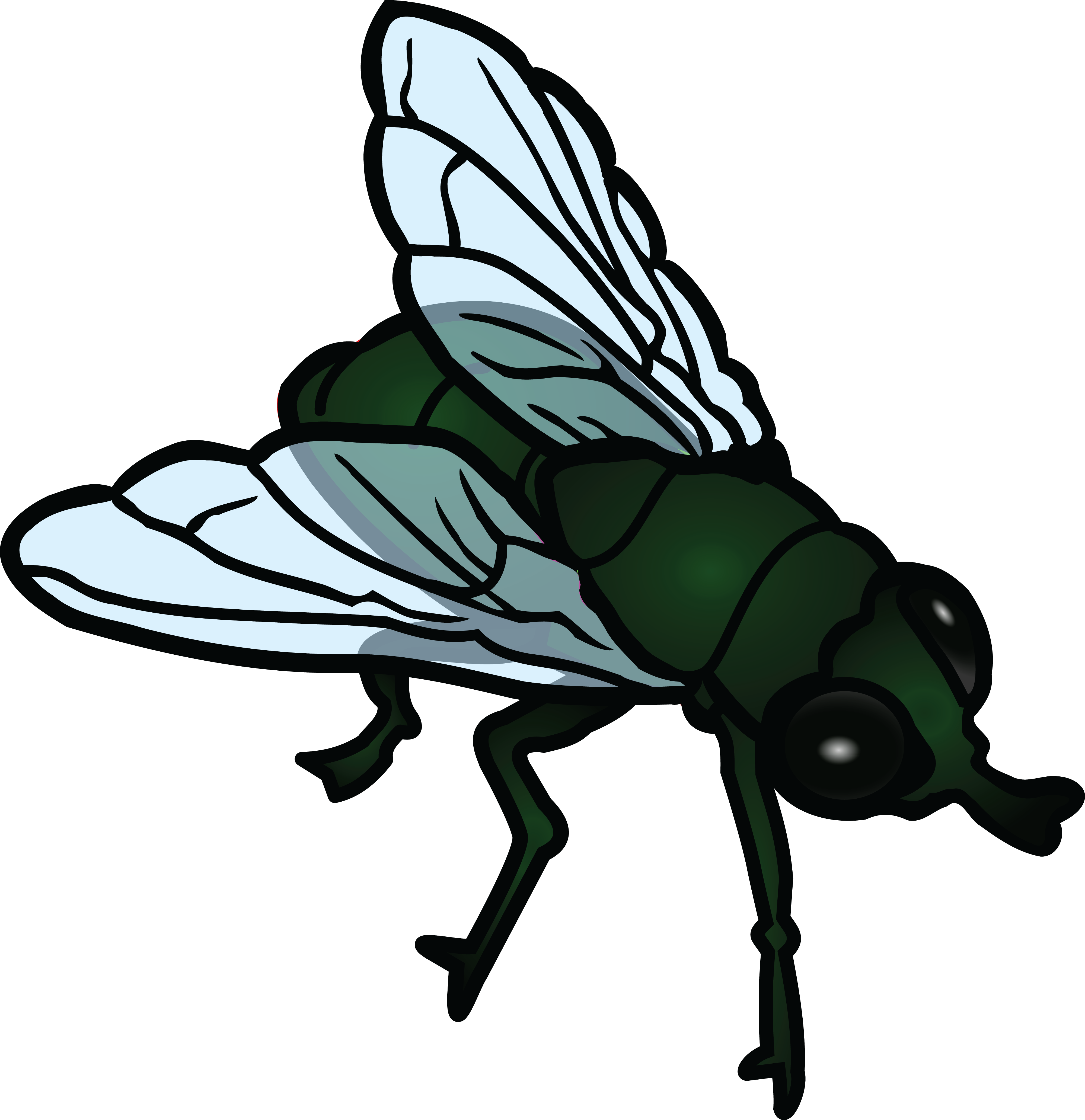 A Fly Clipart.