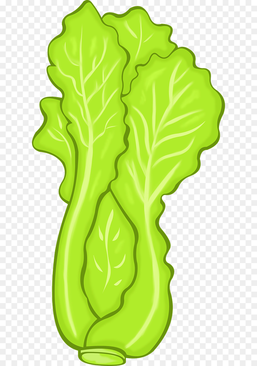 animated lettuce clipart 10 free Cliparts | Download images on