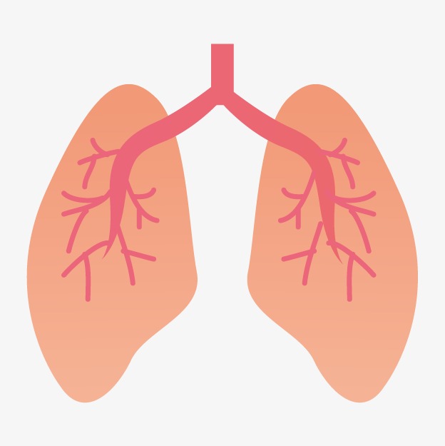  animated lungs  clipart 10 free Cliparts Download images 