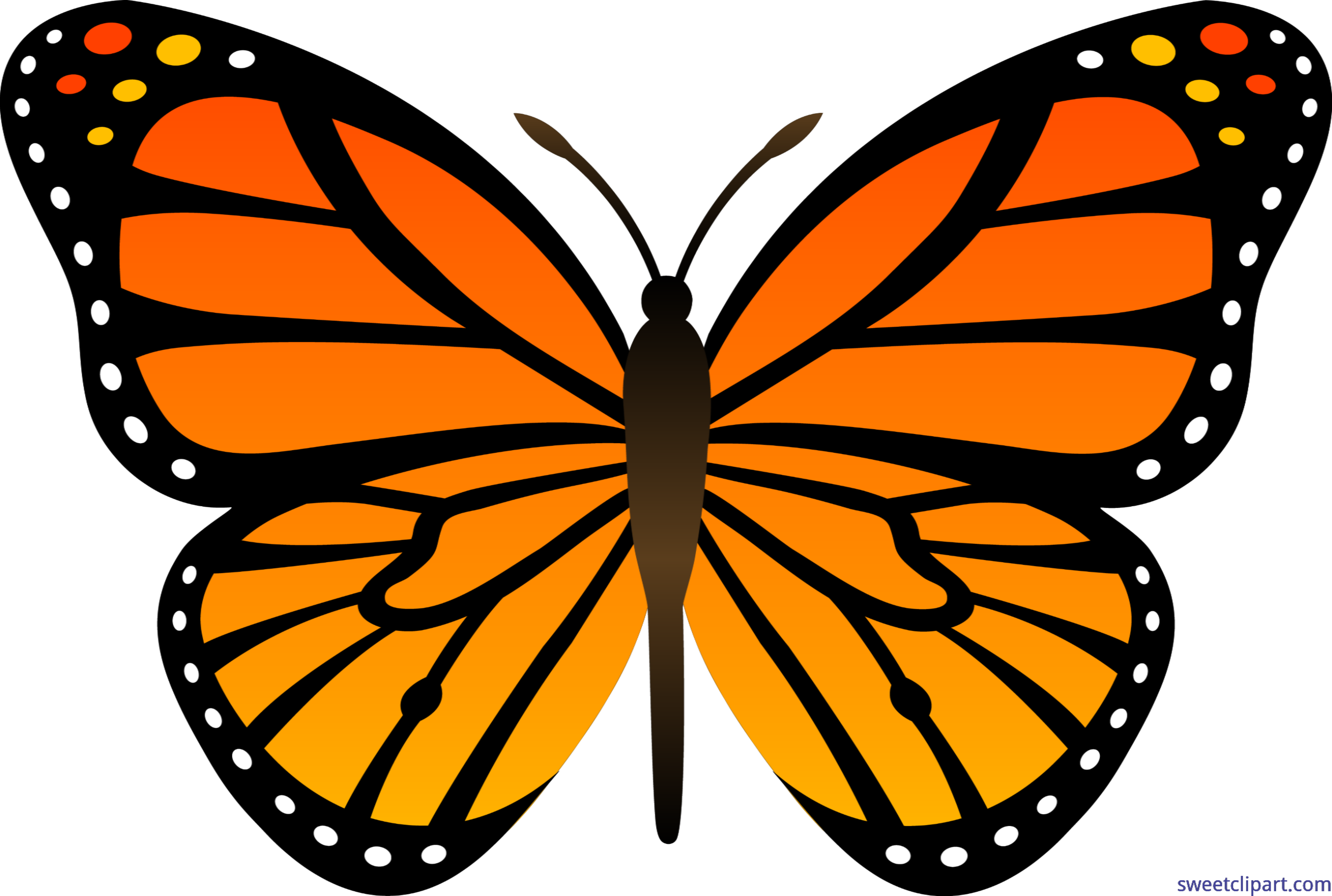 Monarch Butterfly Cartoon Free Download Clip Art.