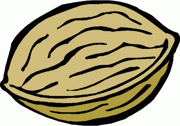 Cartoon Walnut Clipart.