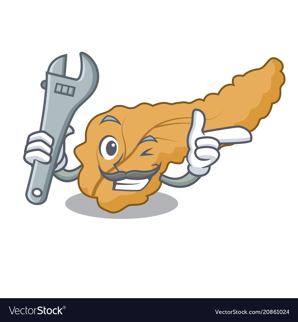 Mechanic pancreas mascot cartoon style.