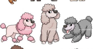 cartoon poodles clipart 10 free Cliparts | Download images on