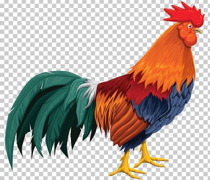 animated rooster clipart 10 free Cliparts | Download images on