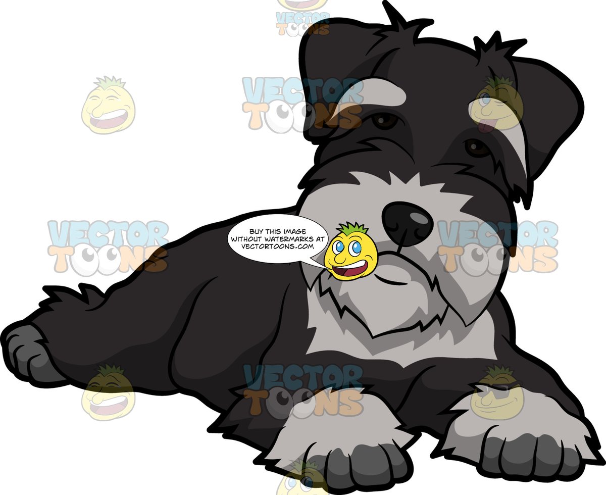 animated schnauzer clipart 10 free Cliparts | Download images on