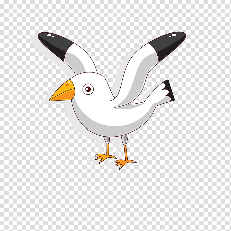 animated seagull clipart 10 free Cliparts | Download images on