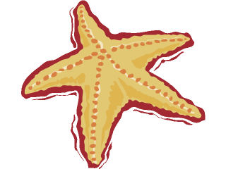 ▷ Starfishes: Animated Images, Gifs, Pictures & Animations.