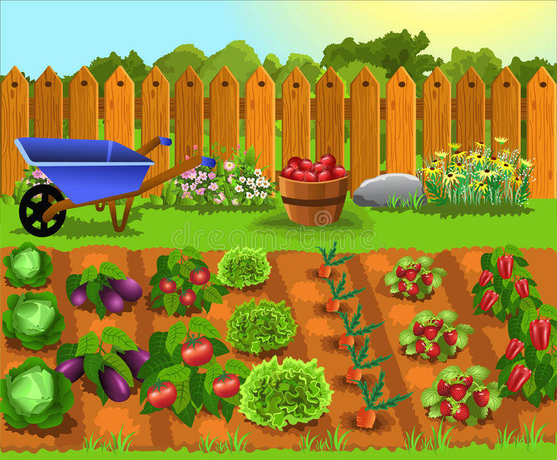 Vegetable Garden Clipart Free Free Download On Clipartmag - Riset