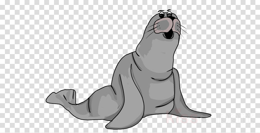 seal california sea lion fur seal cartoon walrus clipart.
