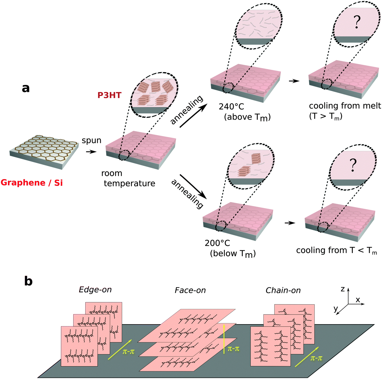 Reduced crystallinity and enhanced charge transport by melt.