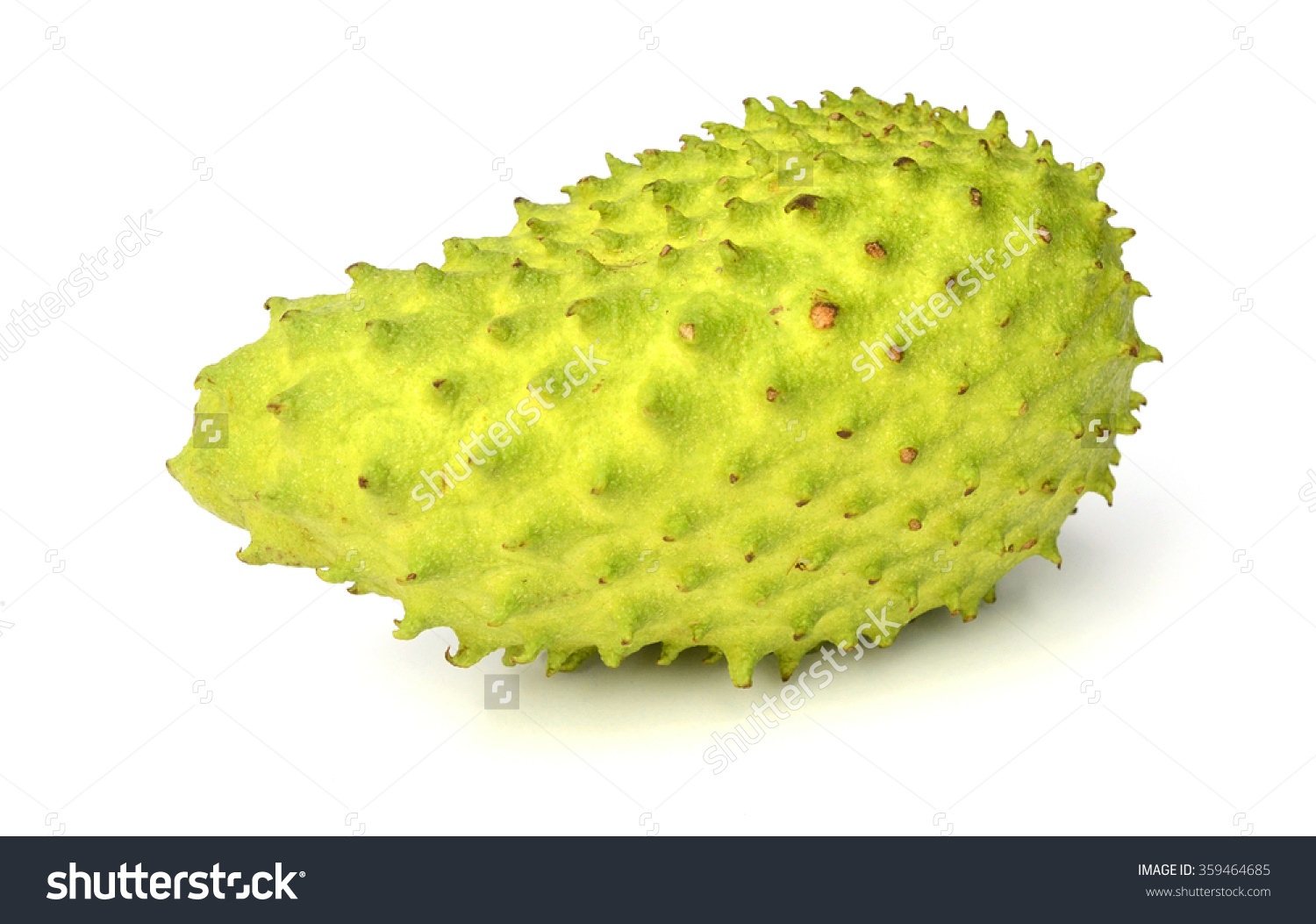 Soursop Prickly Custard Apple Durian Belanda Stock Photo 359464685.