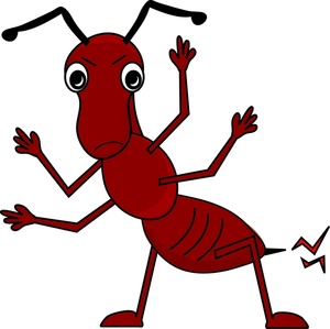 Red Ant Clipart.