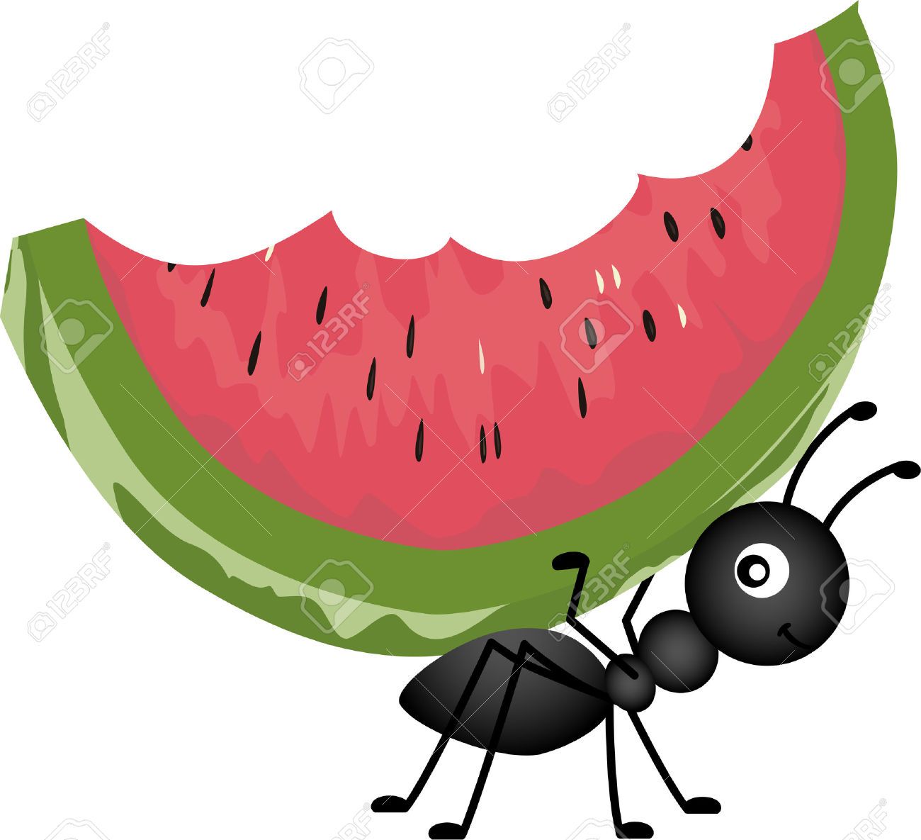 picnic food : Ant Carrying Watermelon Illustration.