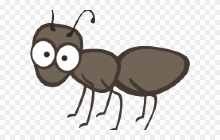 Ant Clipart Single.