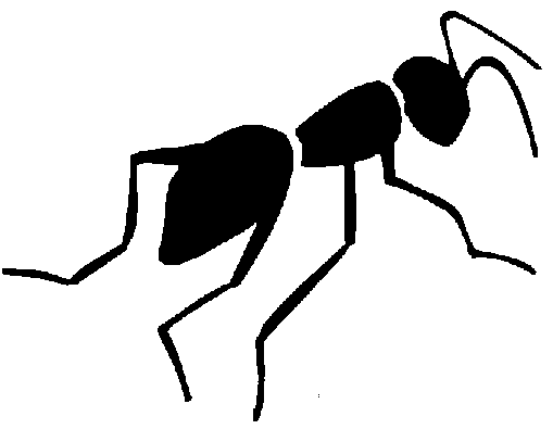 Ant Clipart Black And White.