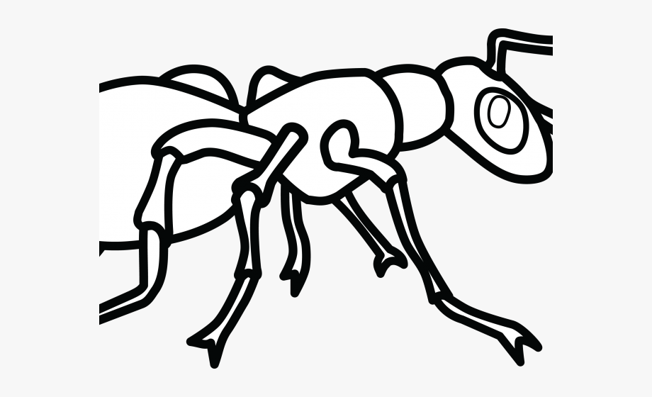 Ants Clipart Black And White.