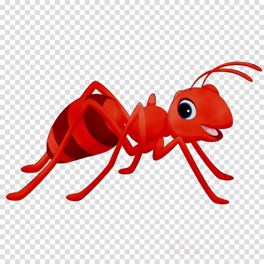 Ant Clipart Cartoon 10 Free Cliparts Download Images On Clipground 2024