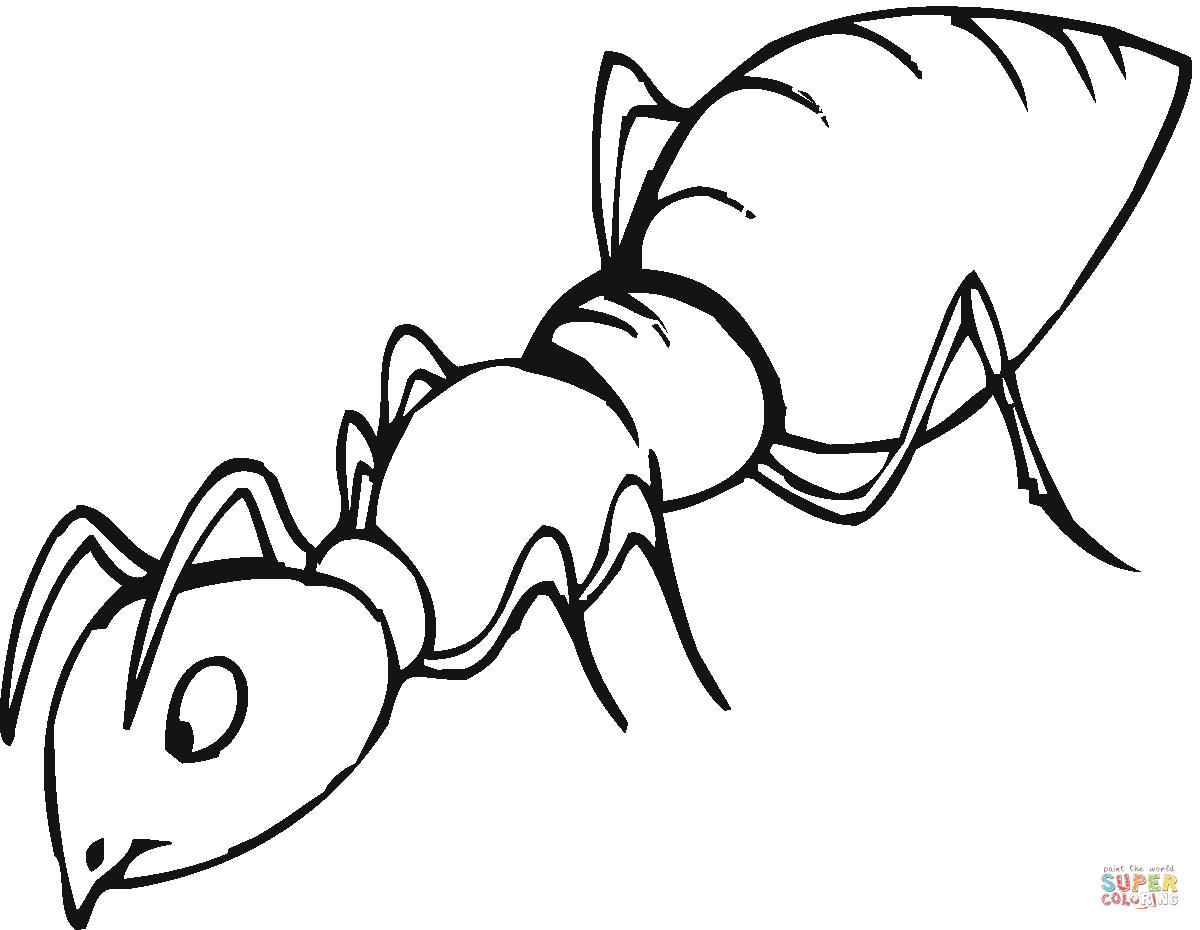 Ant black and white ant is sniffing coloring page free.