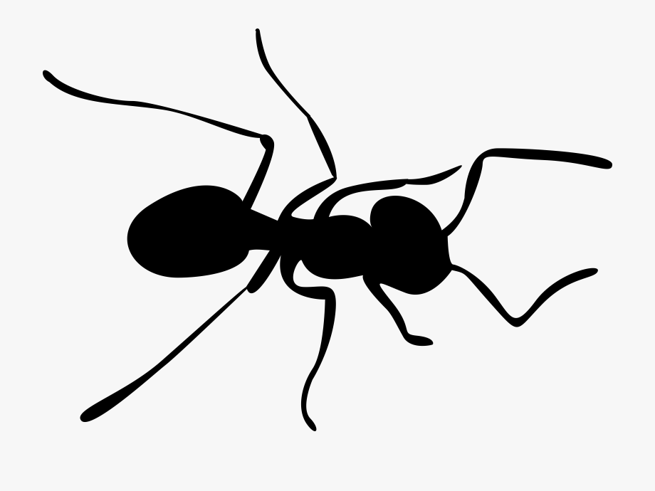 Ants Icon Clipart.