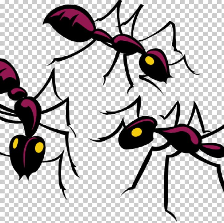 Black Garden Ant Insect Graphics PNG, Clipart, Animals, Ant, Ant.