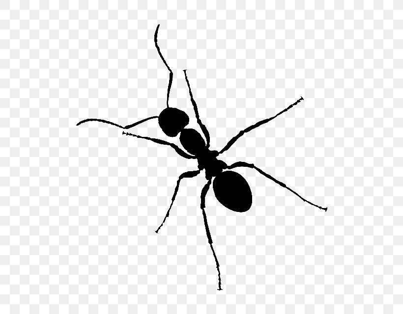Black Garden Ant Insect Clip Art, PNG, 640x640px, Ant, Ant.