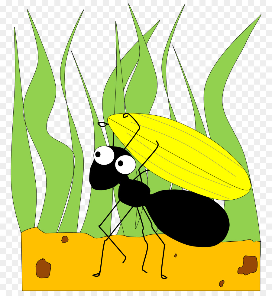 Leaf Fly clipart.