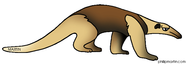 Anteater Clipart.