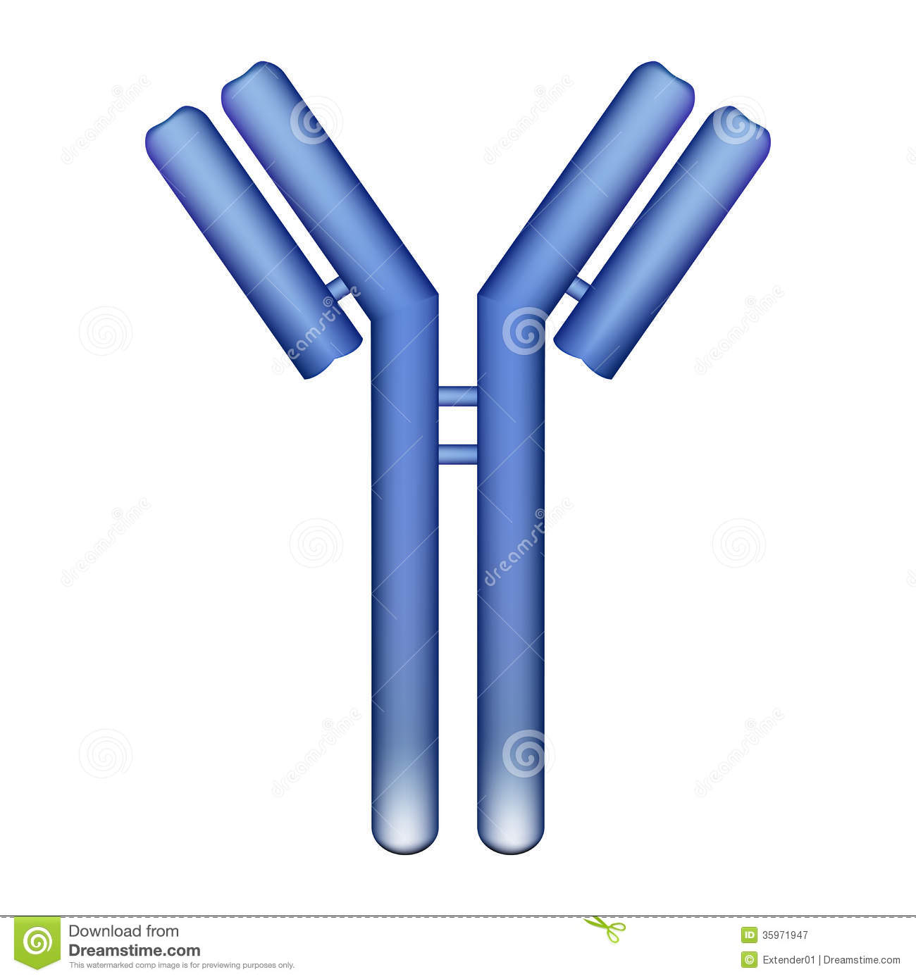 antibody clipart no background 10 free Cliparts | Download images on ...