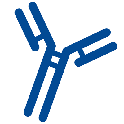 Antibody png 6 » PNG Image.