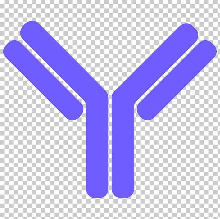 Antibody Letter B Cell PNG, Clipart, Alphabet, Angle.