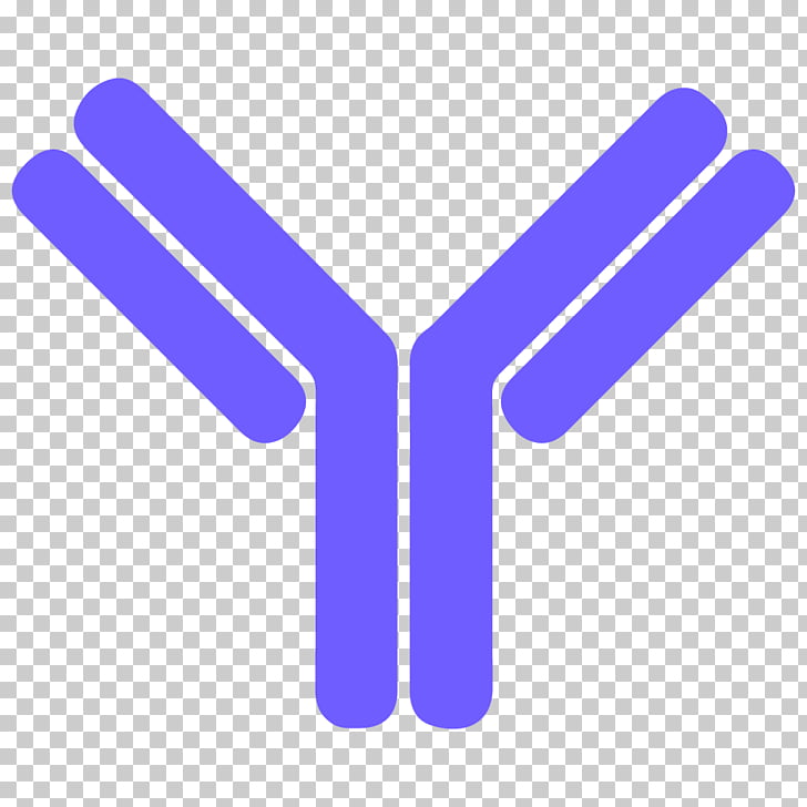 Antibody Letter B cell , others PNG clipart.