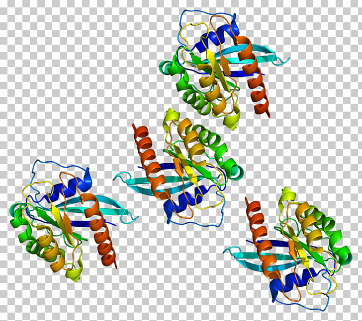 RAB7A Gene Cell Protein, others PNG clipart.