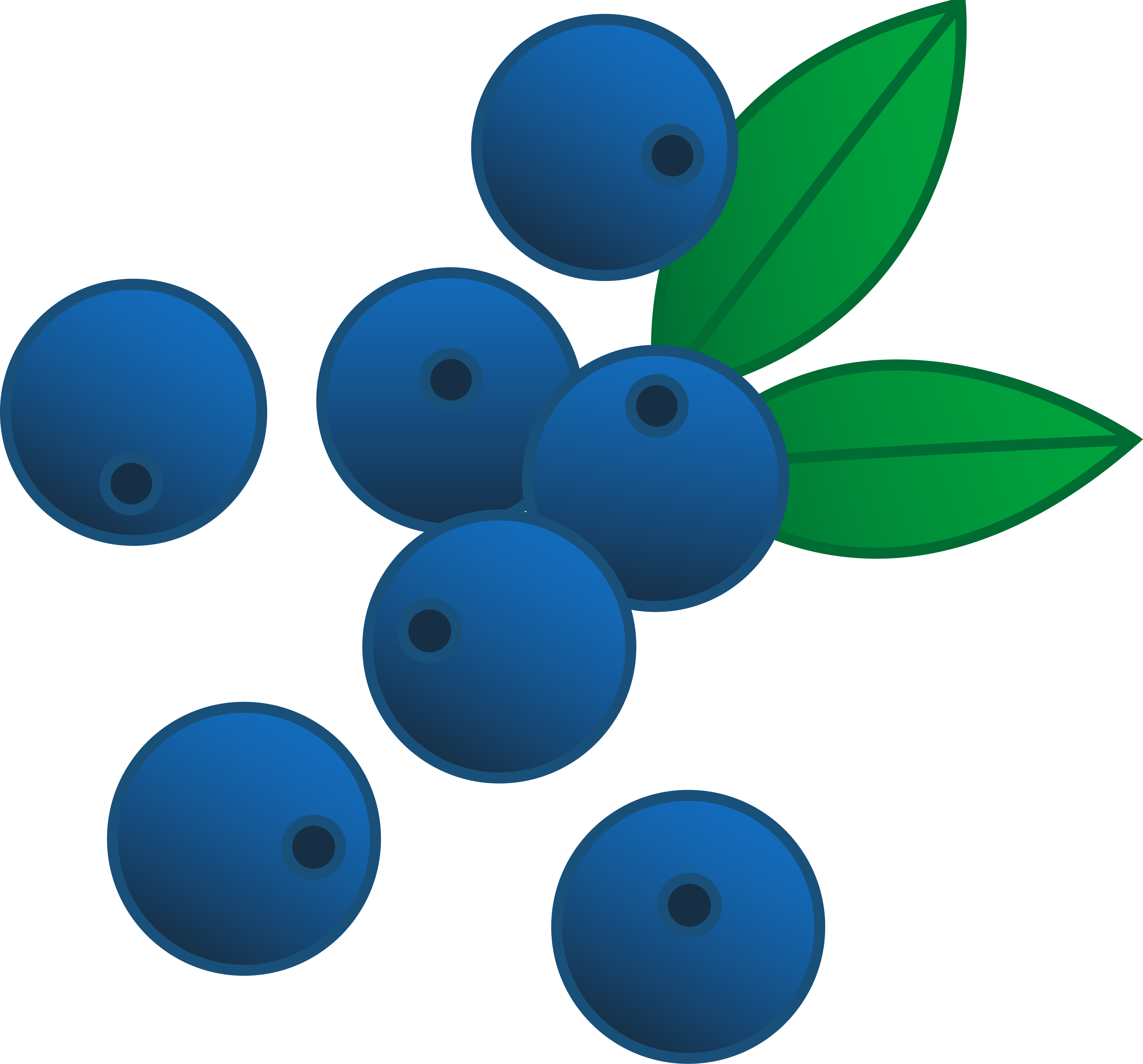 Blueberries Vector Illustration.