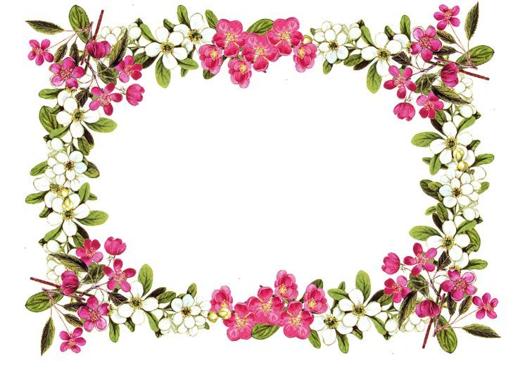 Flower border free printable clip art borders free digital.