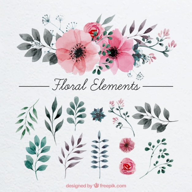 Watercolor Flowers Vectors, Photos and PSD files.