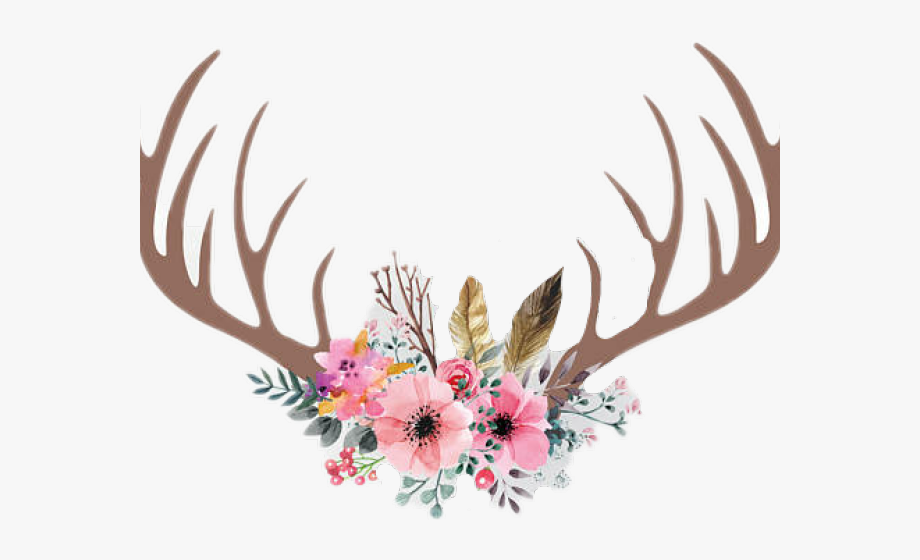 Download antlers with sunflowers clipart 10 free Cliparts ...