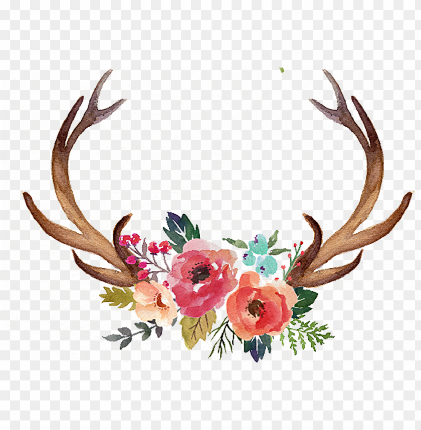 vector download antler flower moose clip art hand painted.