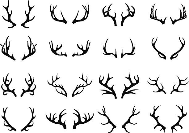 antler clip art free 20 free Cliparts | Download images on Clipground 2023