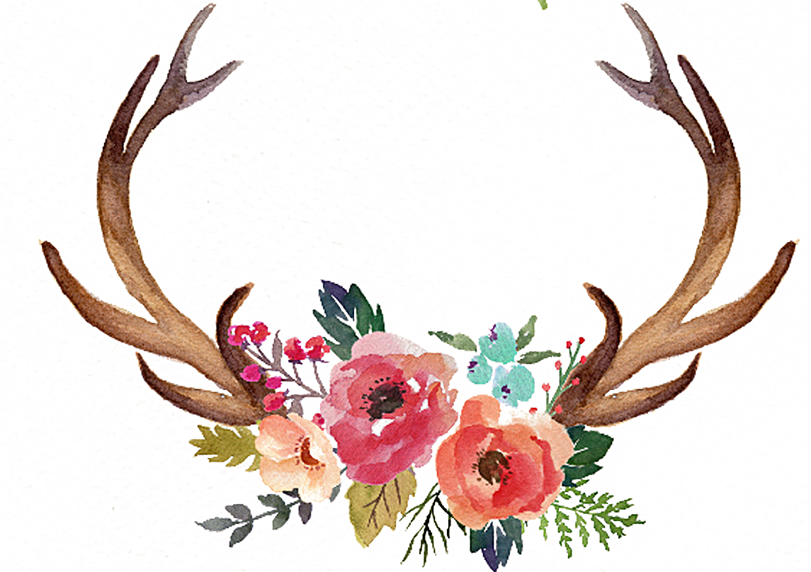 Deer Antler Flower Moose Clip art.