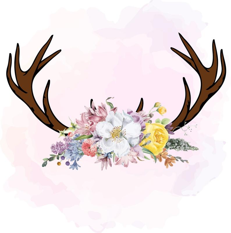 Antler clipart feather, Antler feather Transparent FREE for.