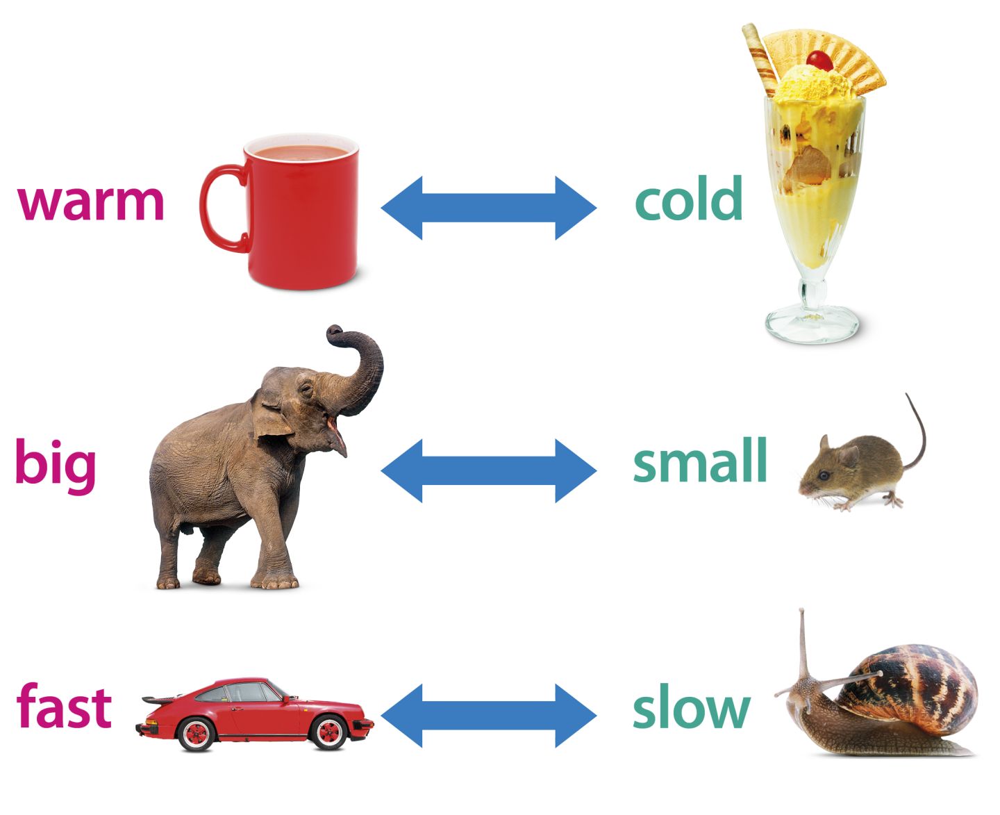 50-difficult-antonyms-with-meanings-examples-leverage-edu