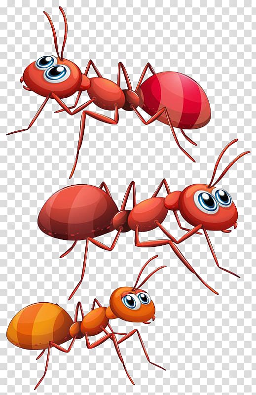 Three red and brown ants illustration, Ant , ant transparent.