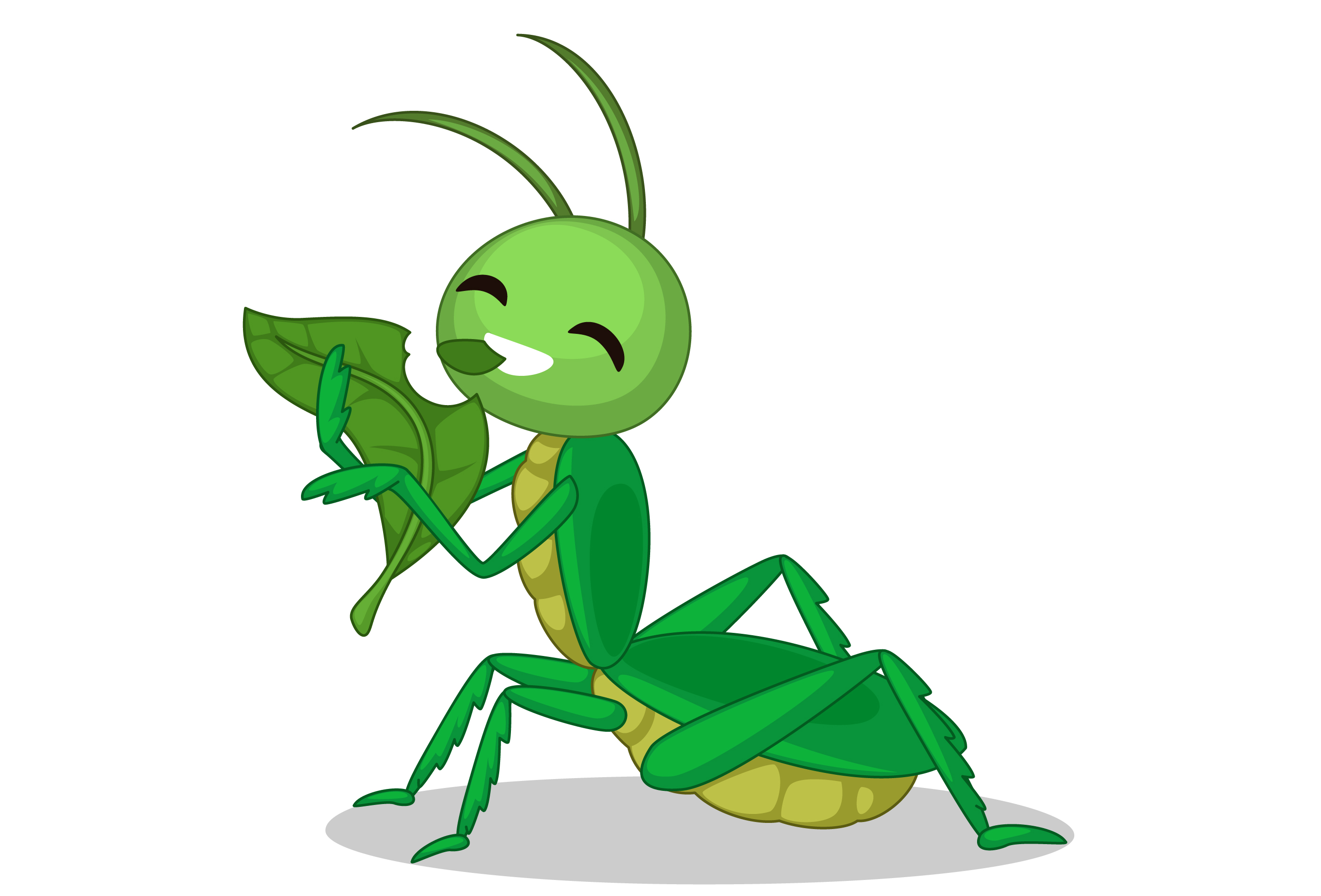 grasshopper eating leaf cartoon.