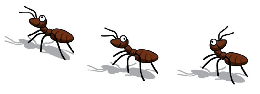 Trail Of Ants Clipart.