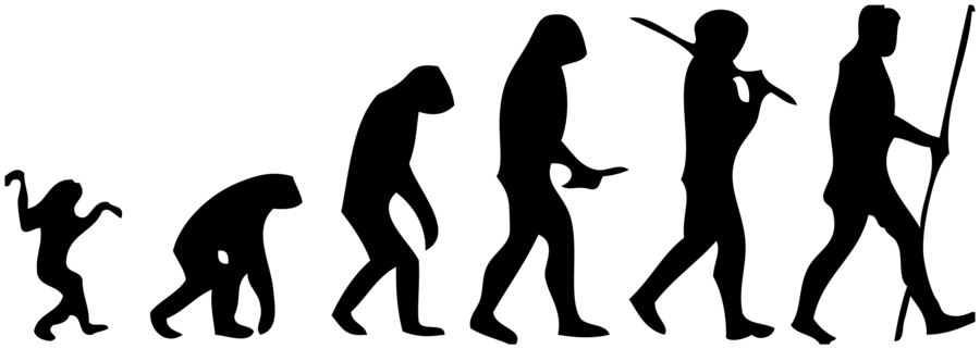 ape evolution clipart 10 free Cliparts | Download images on Clipground 2024